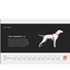Non-stop dogwear Line harness 5.0- Oransje